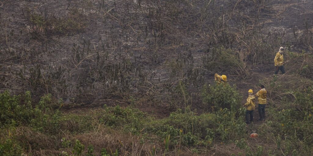 Defesa Civil realiza missão nos estados da Amazônia Legal e Pantanal