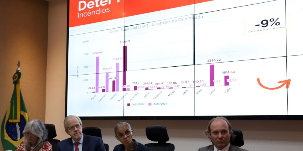 Cerrado e Pantanal registram redução de áreas desmatadas