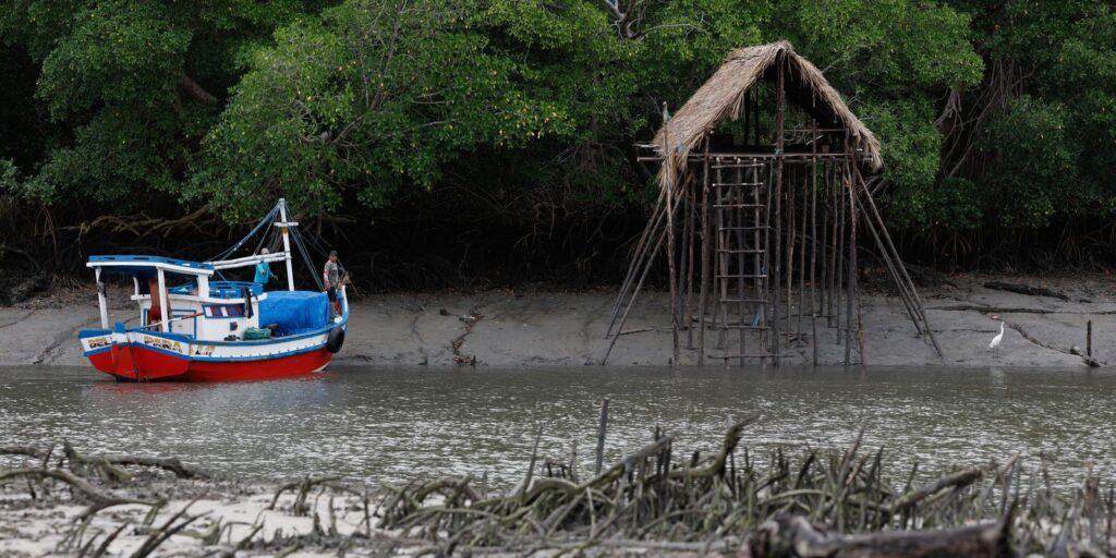 COP-30 coloca Amazônia e sustentabilidade no centro do debate