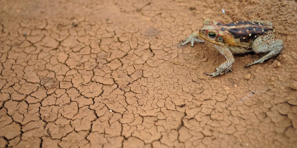 Doze cidades em estado de emergência por excesso ou falta de chuva