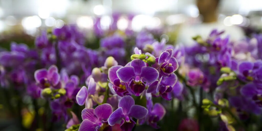 Primavera começa hoje (22), com a chegada de frente fria