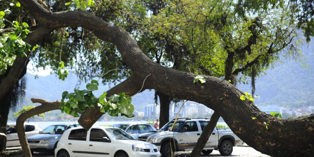 Cidades Verdes, do Ministério do Meio Ambiente, recebe 323 iniciativas