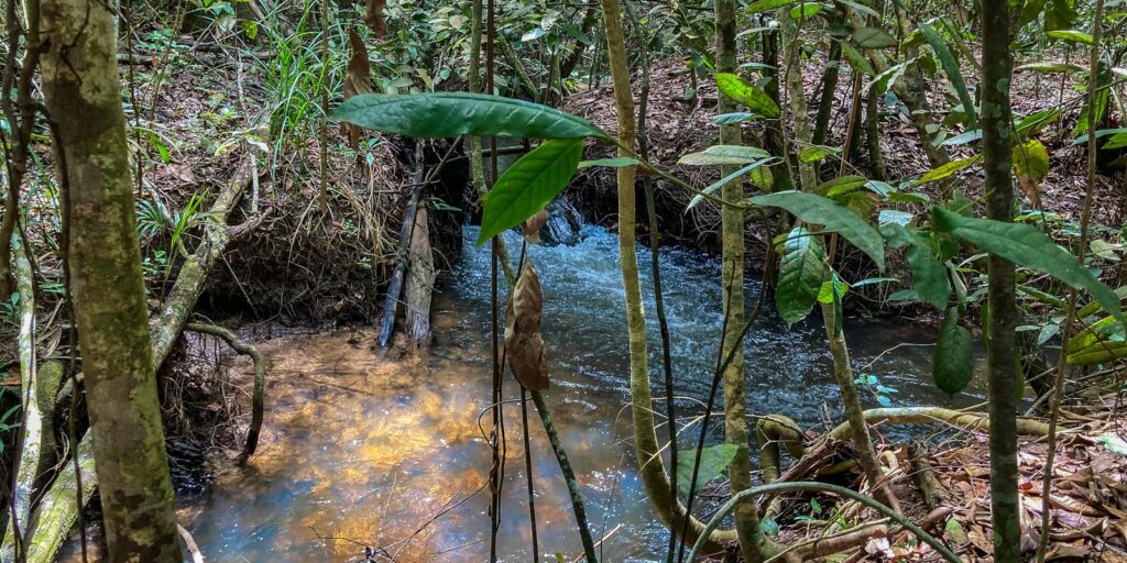 Disponibilidade de água renovável no mundo caiu 7% em 10 anos