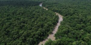 Consórcio da Amazônia Legal debate políticas públicas