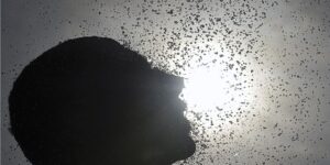 Fenômeno El Niño deve atingir pico no fim do ano